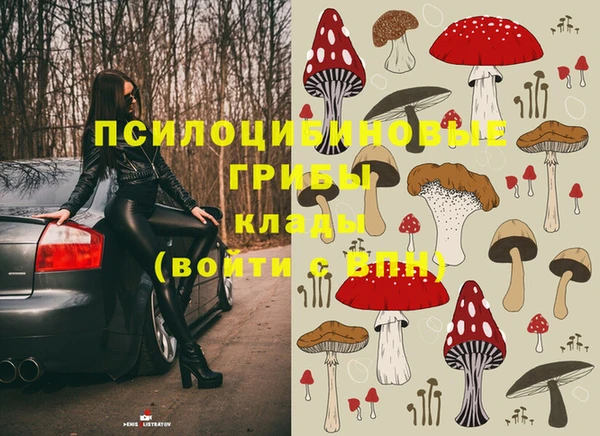 дживик Алексин