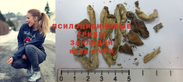 хмурый Алексеевка