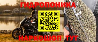крисы Изобильный