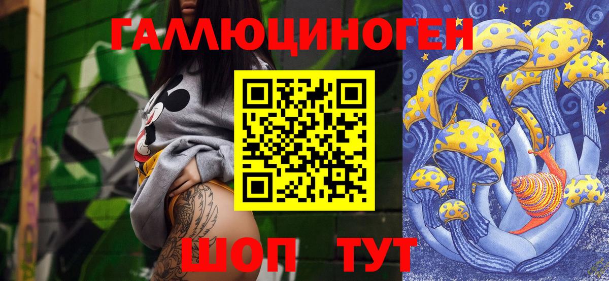 Псилоцибиновые грибы Psilocybine cubensis Лысьва